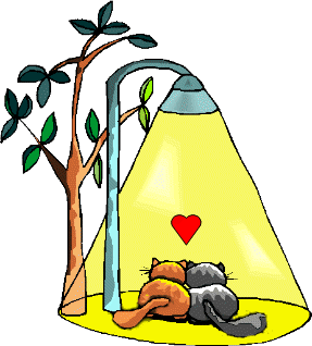 Gifs animados romanticos: amor